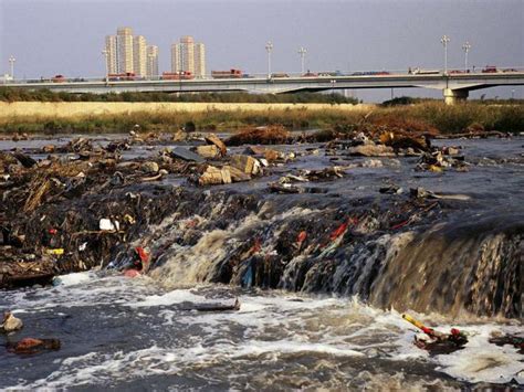 Экологические риски: загрязнение воздуха и воды 