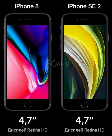  Экран: сравнение iPhone 8 и iPhone 8 Plus 