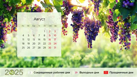 Август