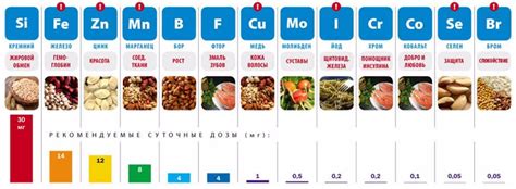 Авитаминоз и дефицит микроэлементов