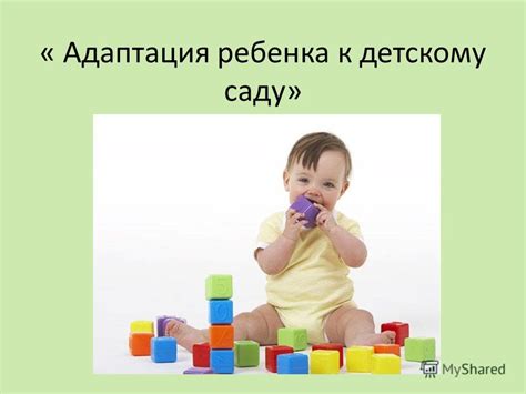 Адаптация к домашней обстановке