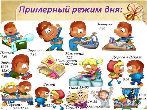 Адаптация к новому распорядку дня