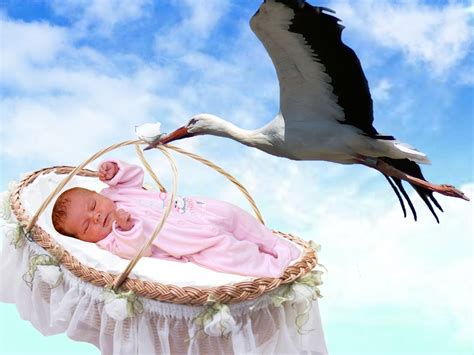 Аист и рождение ребенка