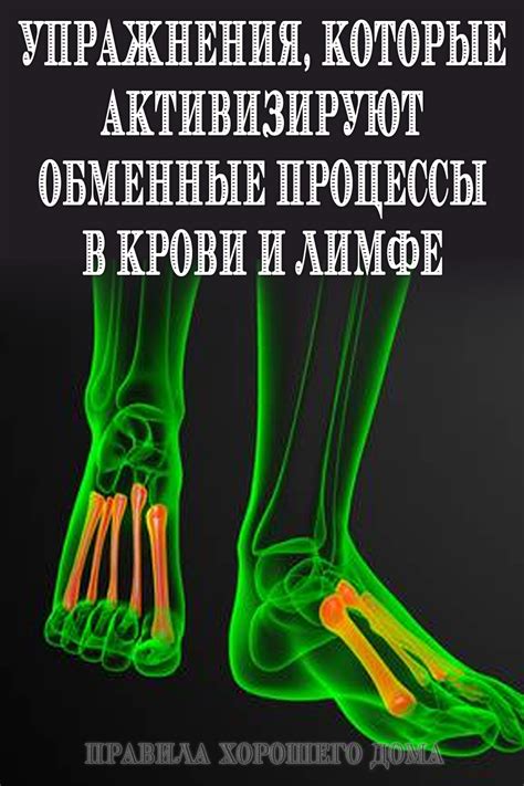 Активизация обменных процессов