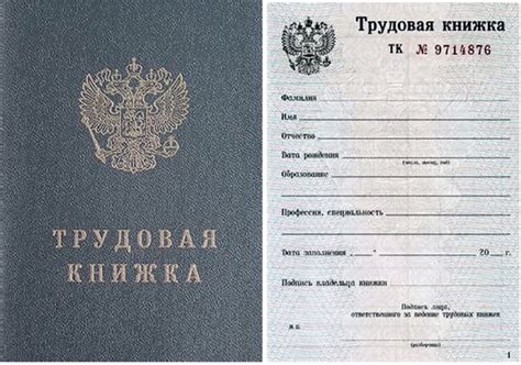 Актуальные правила сокращения трудовой книжки