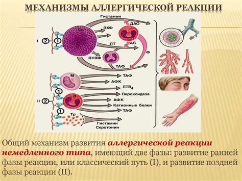 Аллергические реакции и связь с односторонним покраснением левой щеки