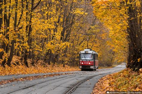 Альтернативные места для прогулок в этот день