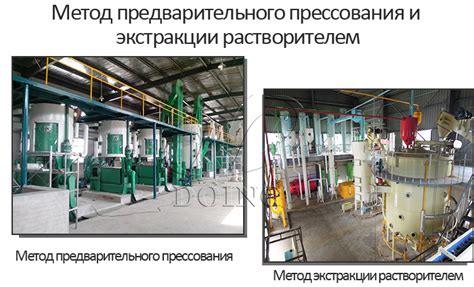 Альтернативные методы обработки горчицы сеянной