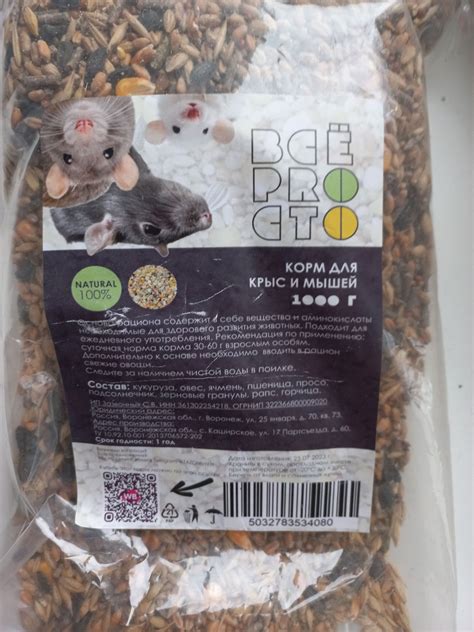 Альтернативные продукты вместо сухого риса для крыс