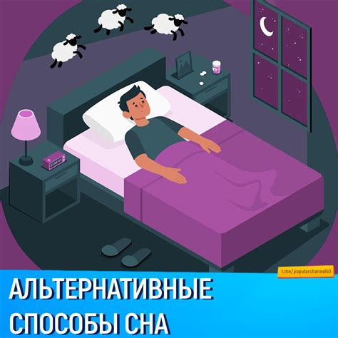 Альтернативные способы сна для собаки: как избежать применения димедрола