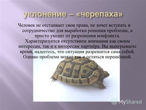Альтернативные сценарии разрешения проблемы