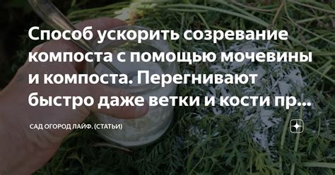 Альтернативы добавления мочевины в компост