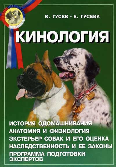 Альтернативы киносеансам для владельцев собак