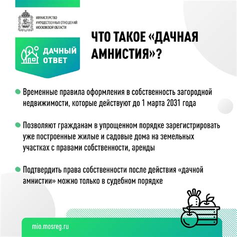 Амнистия в России: что она предполагает