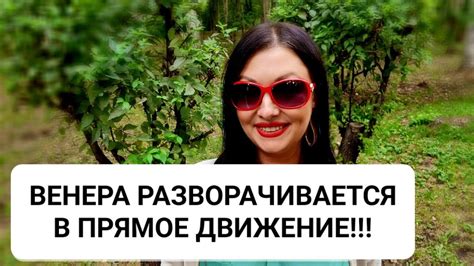 Анализ прошлых отношений