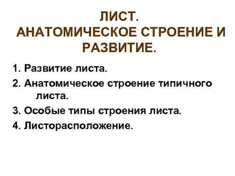 Анатомическое развитие