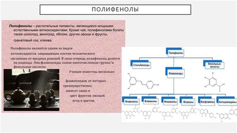 Антиоксидантные свойства меди