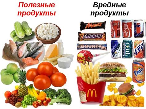 Аппетитоустойчивая пища для собаки при отказе от еды во время болезни