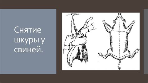 Аргументы ЗА снятие шкуры
