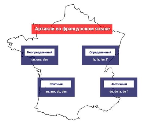 Артикль во французском языке: особенности