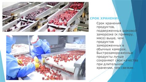 Аспекты сохранения качества при заморозке