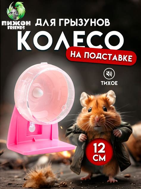 Баланс использования бегового колеса для грызунов