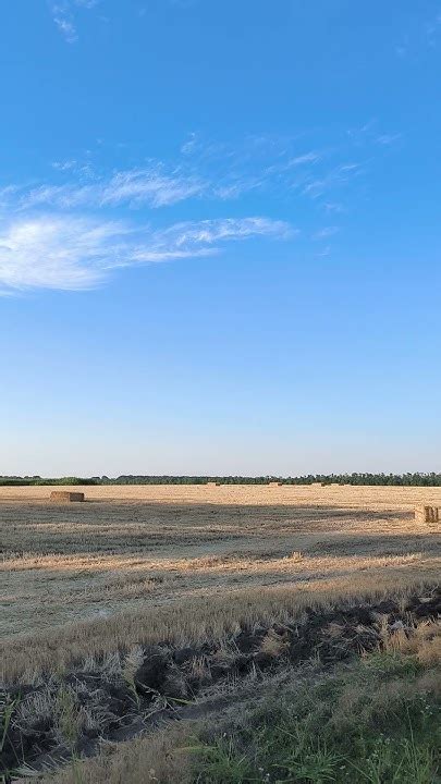 Безграничные просторы Америки