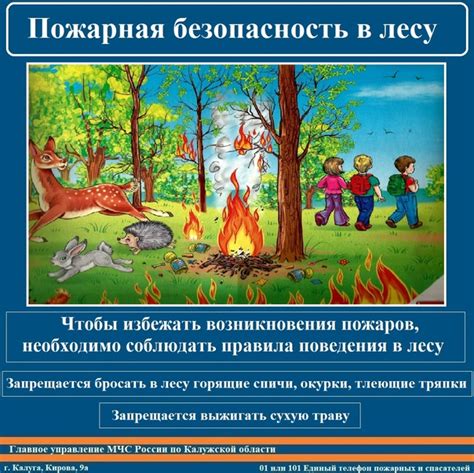 Безопасность в лесу: как избежать опасных встреч
