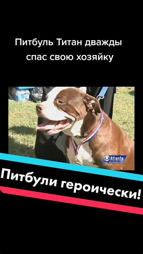 Безопасность в экстремальных ситуациях