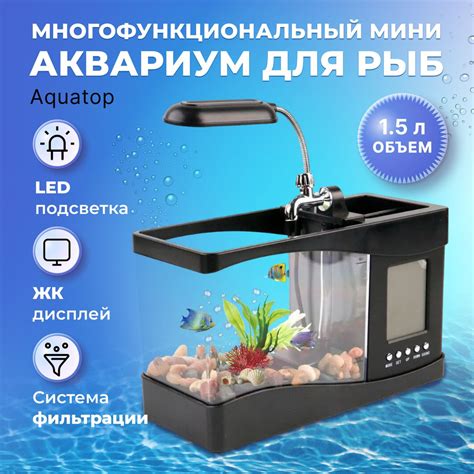 Безопасность камней для рыбок