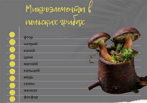 Безопасность при сборе и употреблении польского гриба