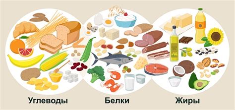Белки, жиры и углеводы