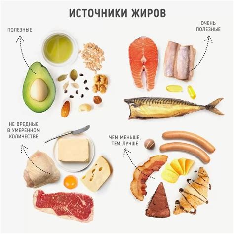 Белки и жиры: полезные элементы рыбы и яйца