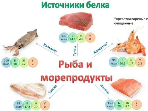 Белки яиц для организма: важность и преимущества