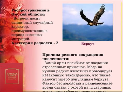 Беркут в период глобального сокращения численности