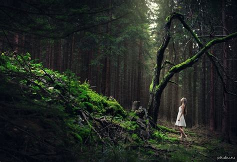 Бесконечный источник вдохновения