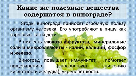 Биоактивные вещества в винограде