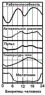 Биологические ограничения спящего организма