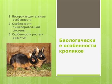 Биологические особенности кроликов и переваривание горчичных веществ