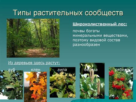 Биологические особенности нереста кижуча