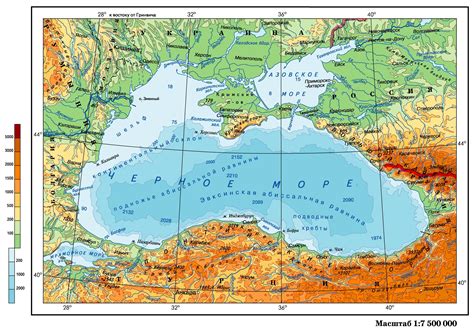 Биологические черты мурен Черного моря
