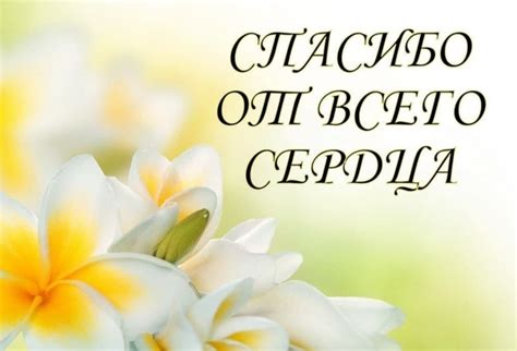 Благодарим за заботу и поддержку