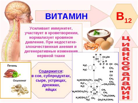 Благотворное влияние витамина В12 на нервную систему