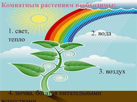 Богатая питательными веществами почва для огорода