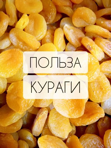 Богатое питательное значение и множество полезных свойств