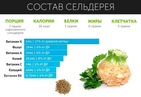 Богатый состав сельдерея