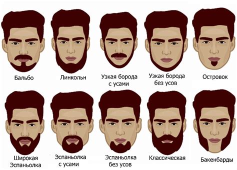 Борода: рост в лето и зиму