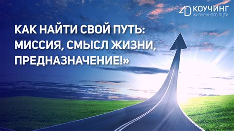 Будьте бдительны: найдите правдивых помощников в своей жизни