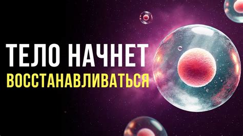 Быстрое восстановление организма