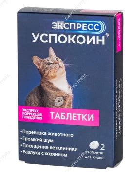 Важная информация при применении противоаллергических препаратов для кошек
